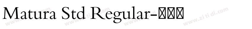 Matura Std Regular字体转换